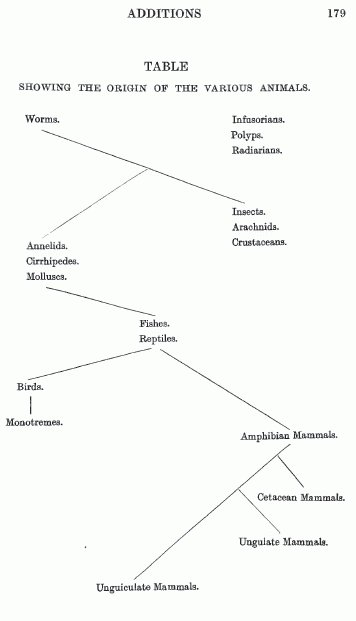 Origins of the Various Animals